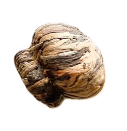 Blooming Tea Bulbs Series