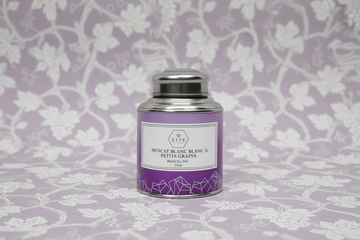 Muscat Blanc à Petits Grains, N.841