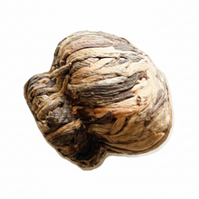 Osmanthus Fleur-de-lis 桂花百合