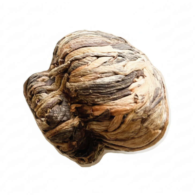 Osmanthus Fleur-de-lis 桂花百合